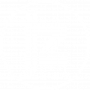 22FK2T-DC SF Custom Logo - Jerry Zang - VIP_white